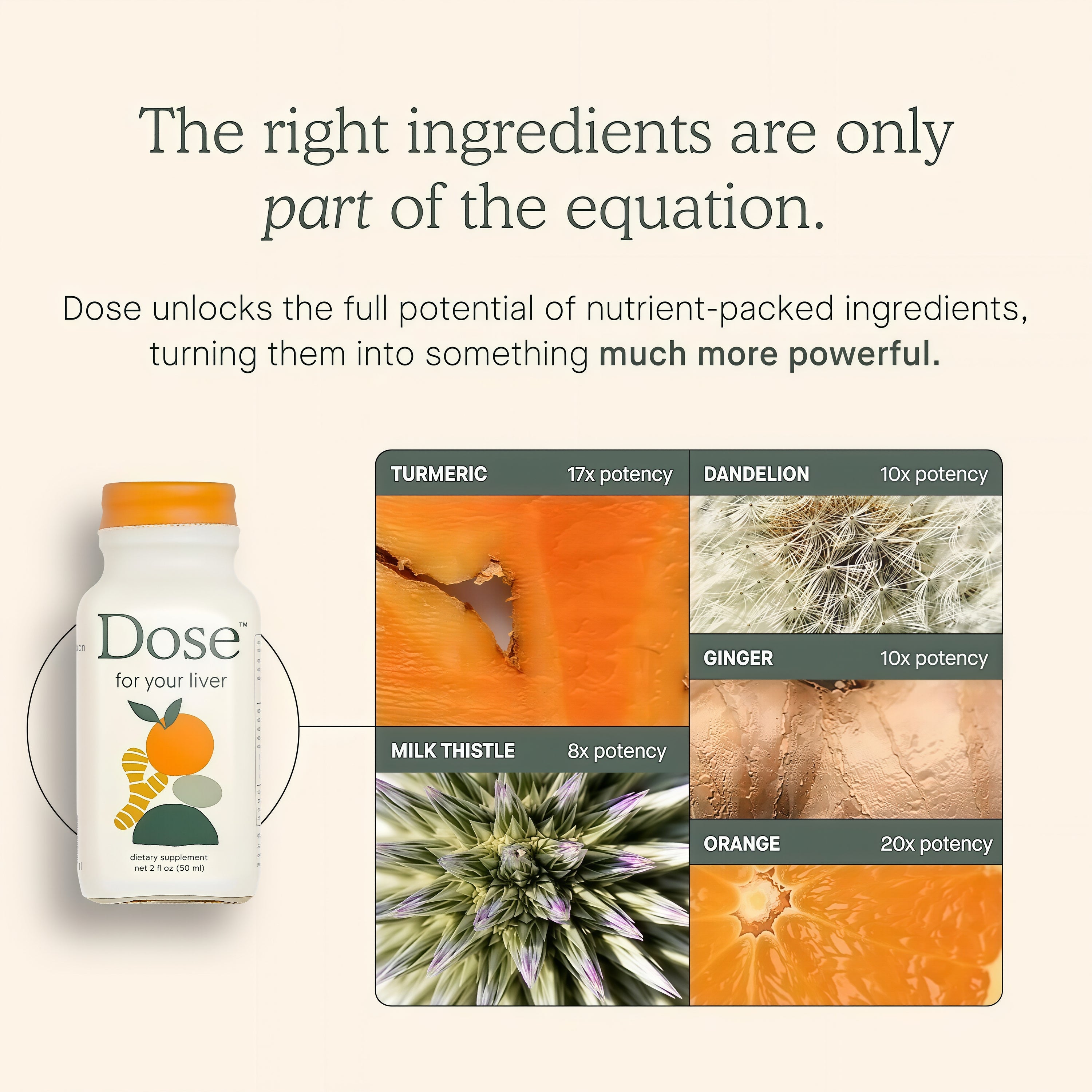 Dose for Your Liver Cleanse Detox & Repair  3 Pack